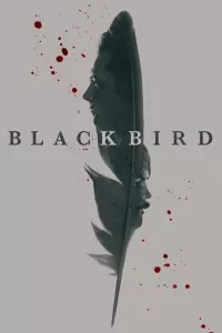 Чёрная птица